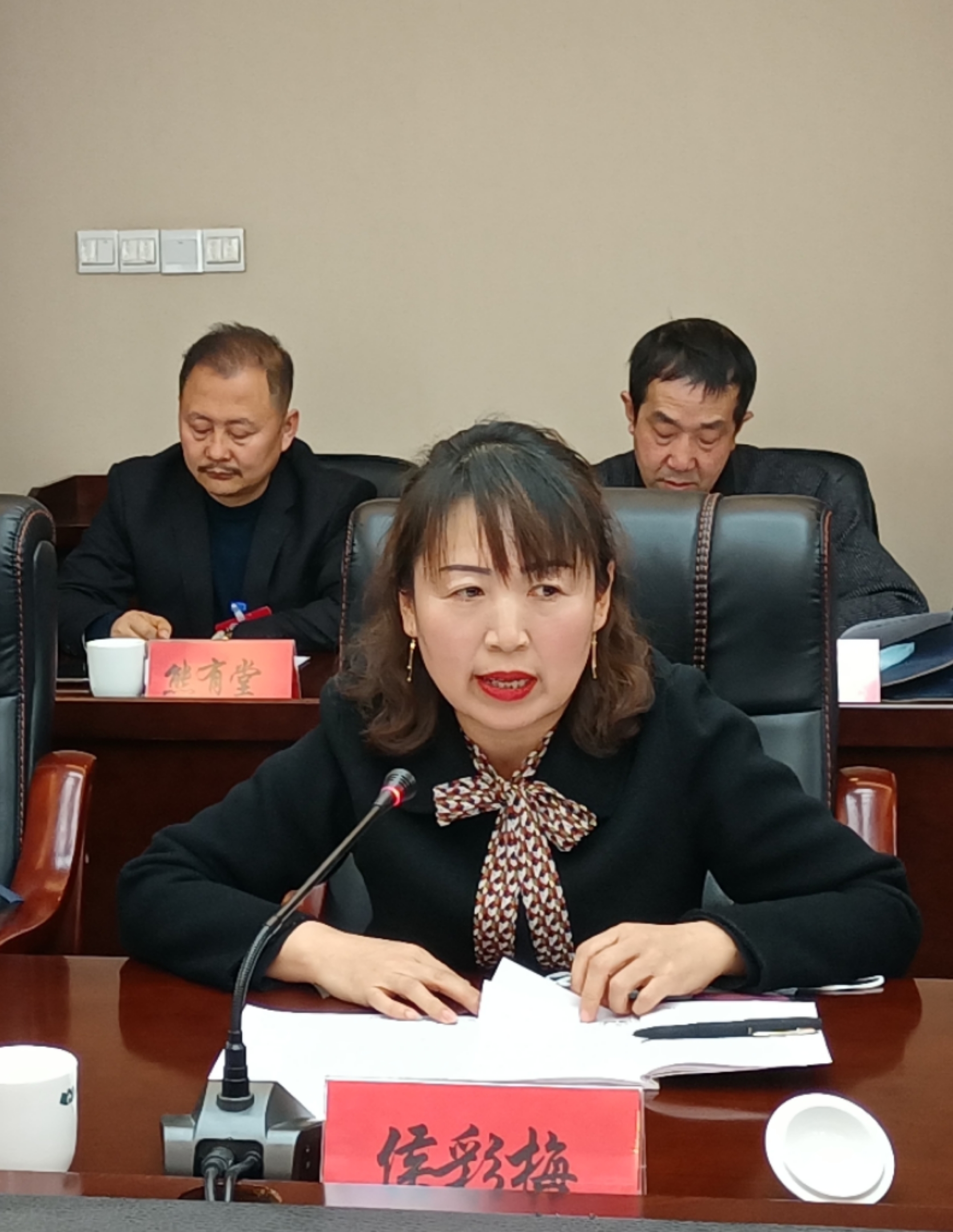 侯彩梅委員在討論發(fā)言時(shí)就規(guī)范農(nóng)村中小學(xué)體育教學(xué)提出了建議。