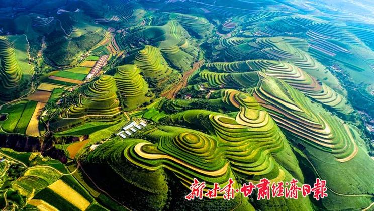 “羊”名立萬正當時——環(huán)縣念羊經(jīng)、興羊業(yè)、發(fā)羊財促進鄉(xiāng)村振興發(fā)展