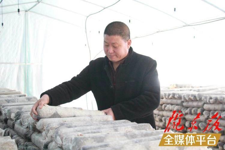 西峰區(qū)后官寨鎮(zhèn)司官寨村食用菌基地，工作人員在整理菌棒。本報(bào)記者 南力 攝