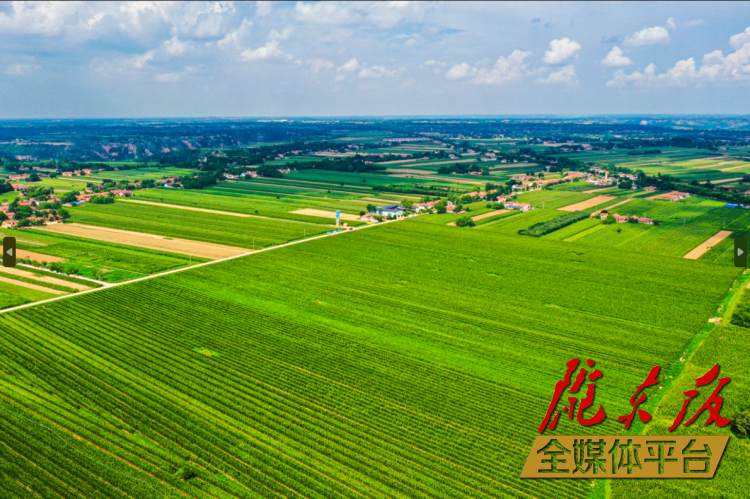 發(fā)展三元雙向循環(huán)模式 構建現代農業(yè)新格局——慶陽市著力推進農業(yè)農村高質量發(fā)展綜述