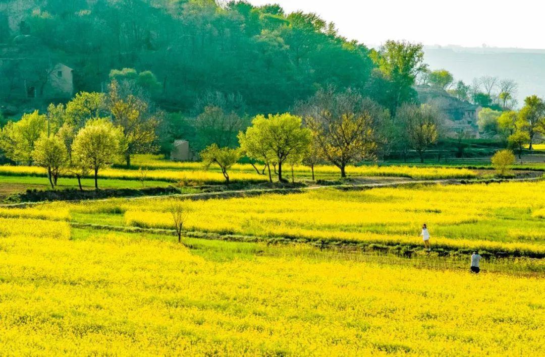 來(lái)慶陽(yáng)，一起“上春山”