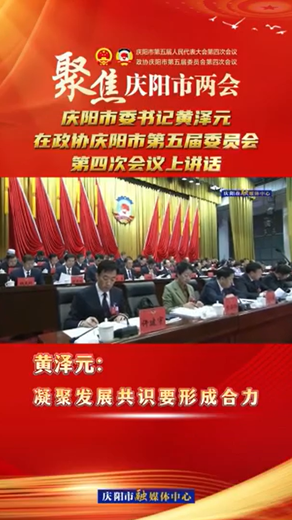 兩會(huì)V視(21) | 黃澤元：凝聚發(fā)展共識要形成合力