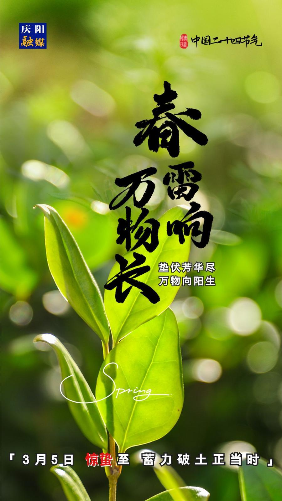 【微海報】二十四節(jié)氣丨驚蟄至，蓄力破土正當時
