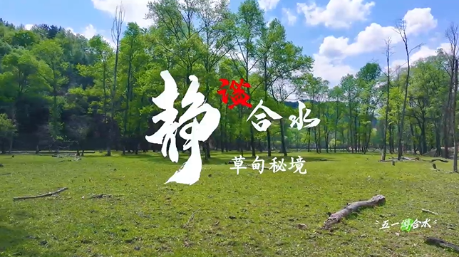 【五一游慶陽(yáng)】靜謐合水︱合水縣太莪鄉(xiāng)草甸秘境等你來(lái)打卡！