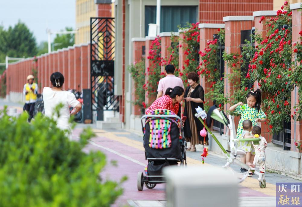 【攝影報道】薔薇花開！邂逅夏日的浪漫