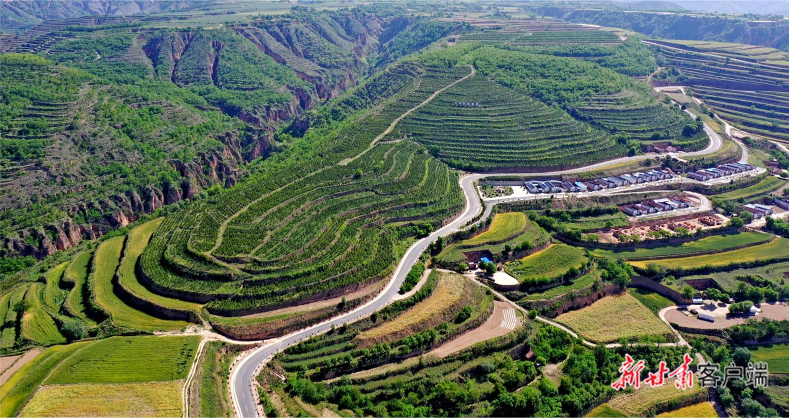【建設(shè)美麗甘肅 推進(jìn)“三北”工程 構(gòu)筑“綠色長(zhǎng)城”】萬里逐綠 譜寫“三北”工程新篇章——甘肅以系統(tǒng)治理筑牢西部生態(tài)安全防線