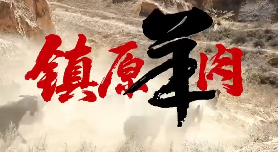 鎮(zhèn)原羊肉